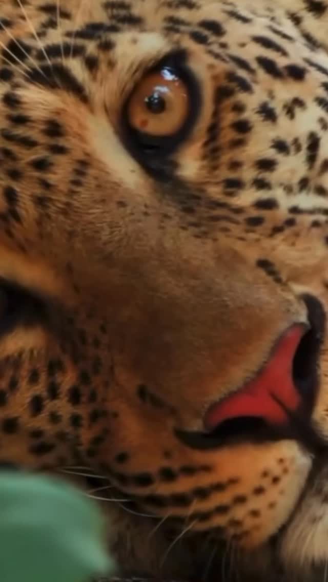 Post do instagram da Prefeitura de Mandirituba